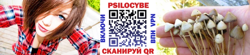 продажа наркотиков  Яхрома  Псилоцибиновые грибы прущие грибы 