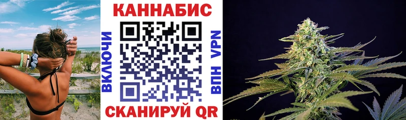 shop телеграм цена Яхрома Бошки Шишки White Widow
